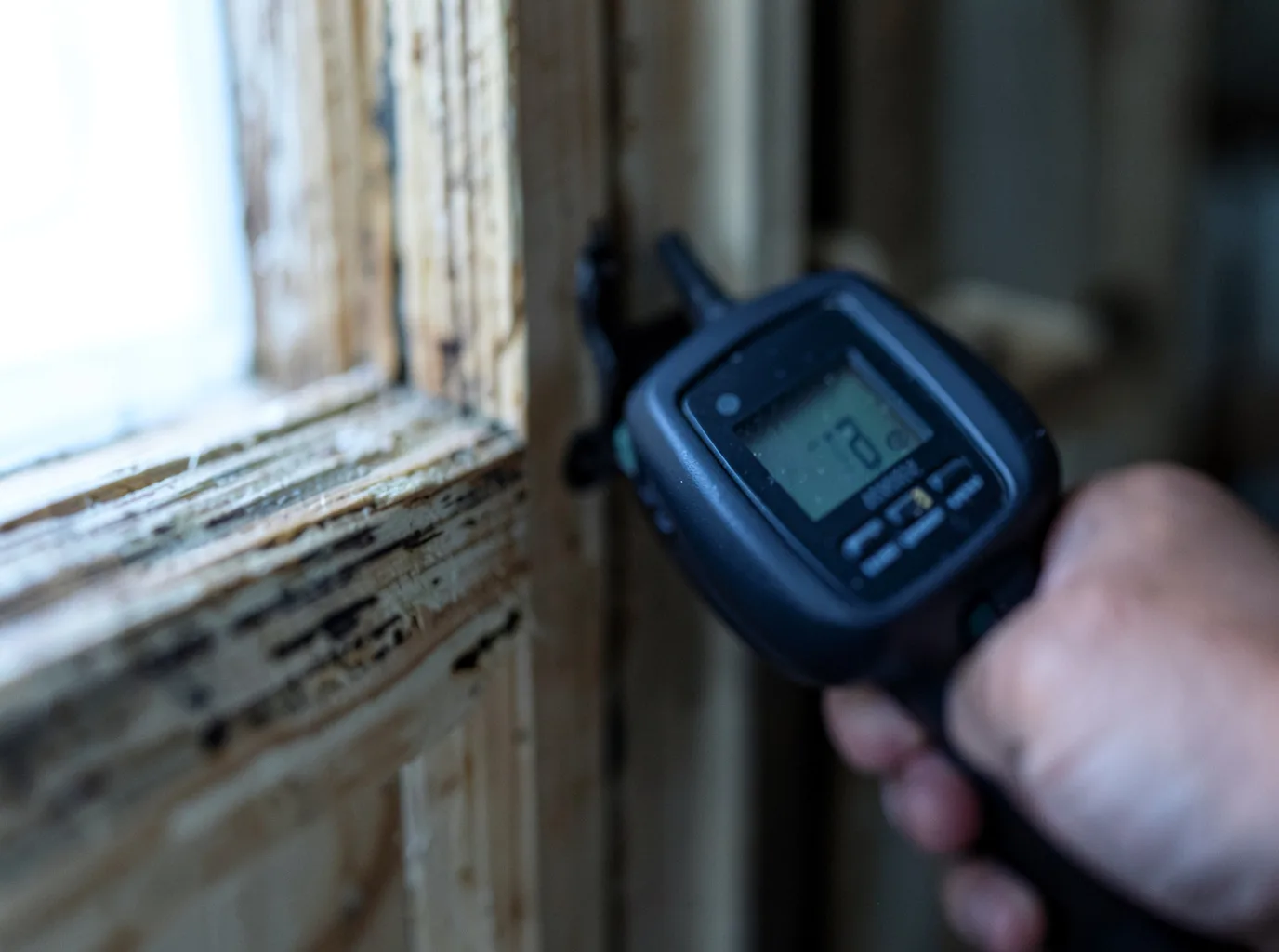 Ceiling Water Damage Repair in Fish Camp, CA